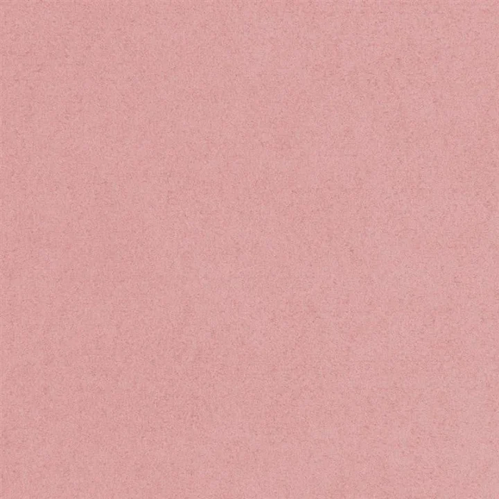 新色「Sakura」のイメージ