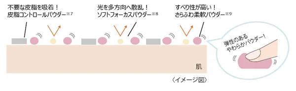 パウダーの成分イメージ図
