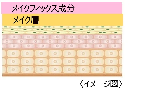 メイクフィックス成分イメージ図