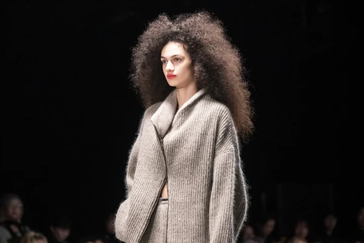 KAKANのショーの様子