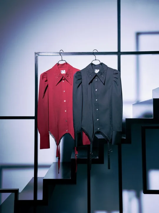 NANAシシュウビスチェシャツ