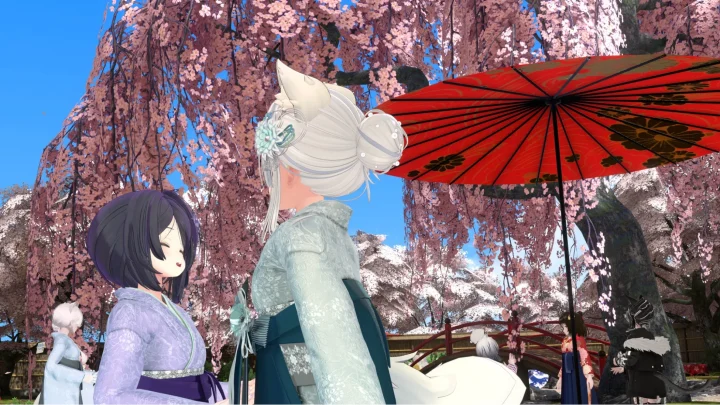 きものdeお花見会 和傘と桜