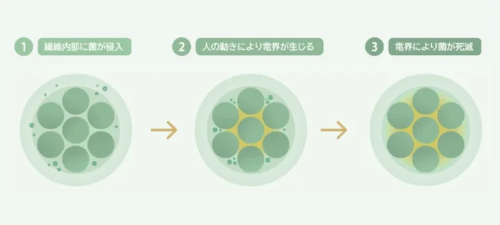 繊維に侵入した菌が電界により死滅するメカニズムの図