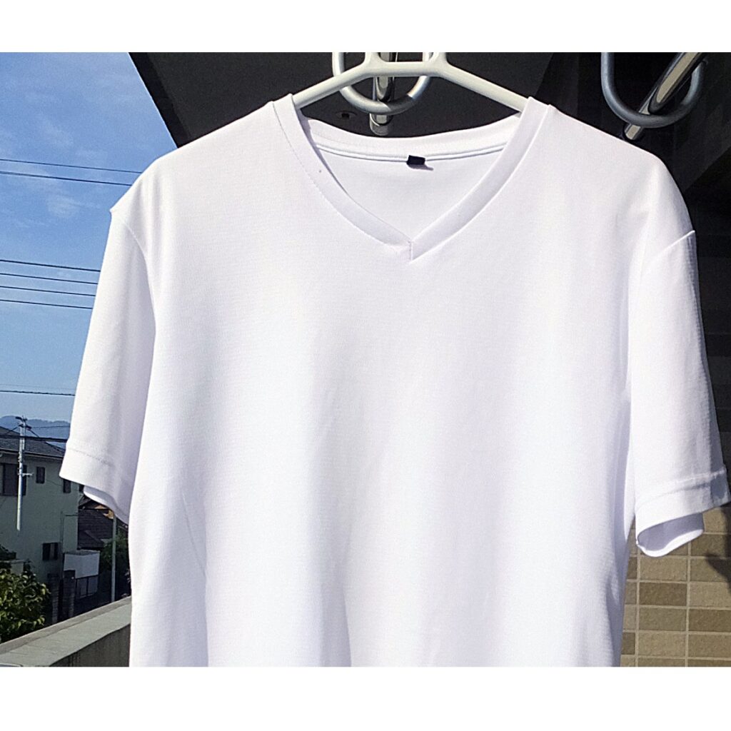 たかだかTシャツ1枚買うのに1万円近く出せる奴らは一体何者だよ | ファ板速報