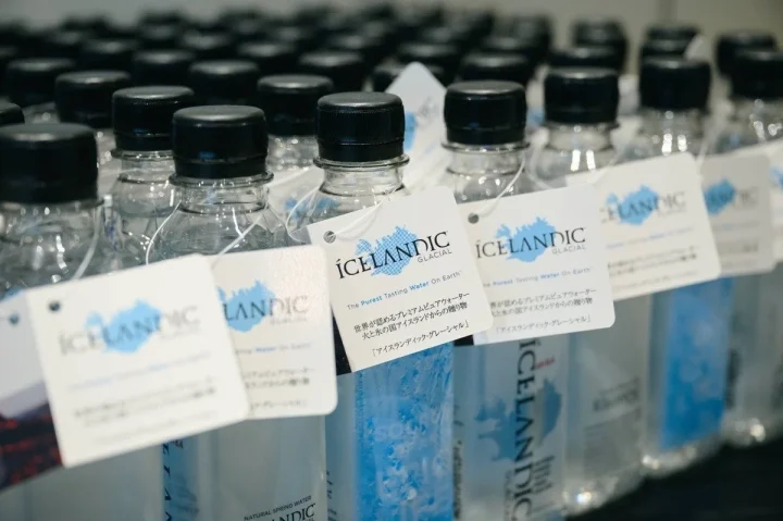 アイスランディック・グレイシャルの展示