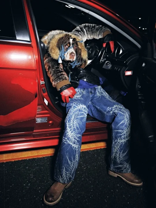 TOKU氏の作品が施されたデニムと犬