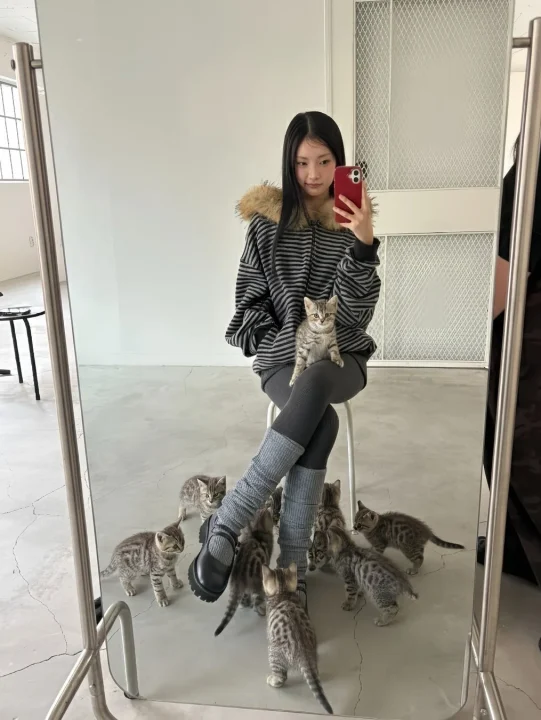 子猫たちとミラーセルフィーを撮る女性