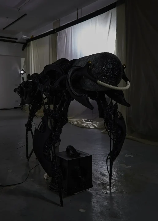 黒くて巨大な昆虫のような有機的な形状の彫刻作品