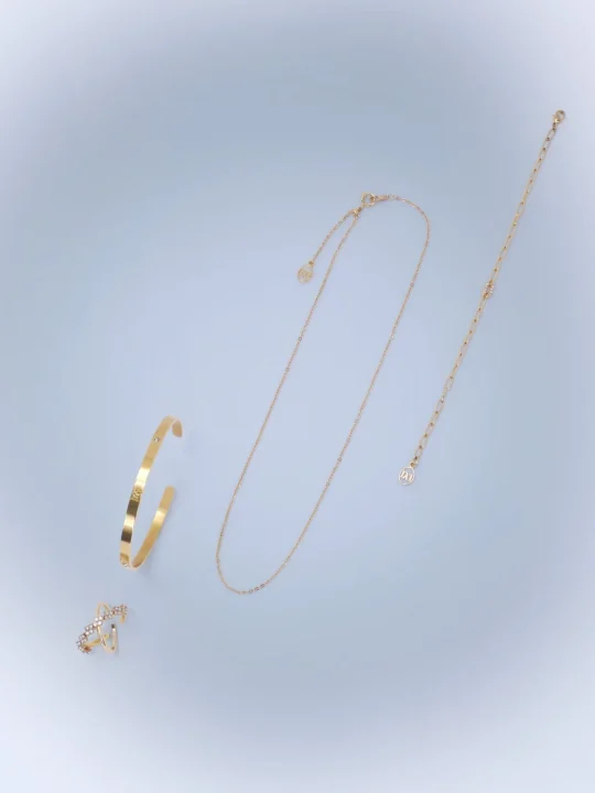 先行期間限定の特典