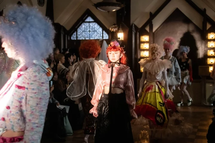 pays des féesのショー