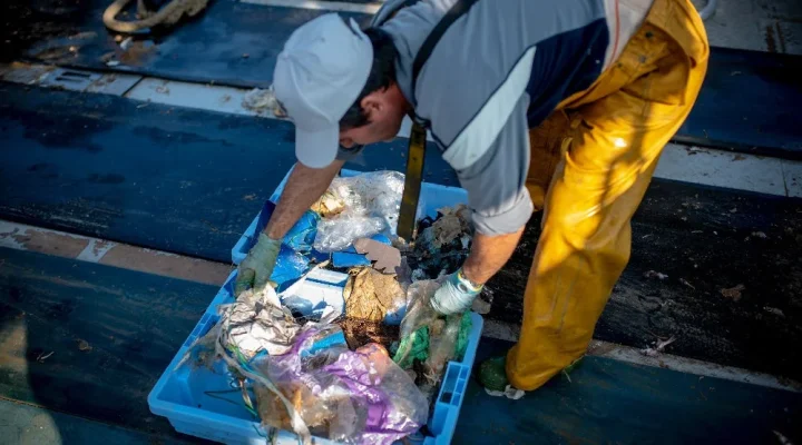 漁師がゴミを仕分け