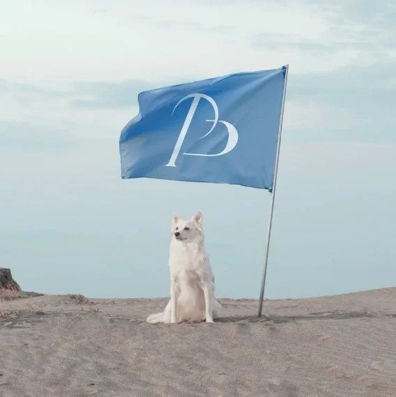 砂浜に白い犬と青い旗