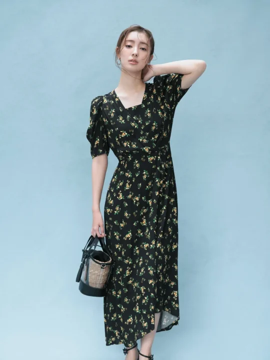 Dress Pierced earring Bag Shoes