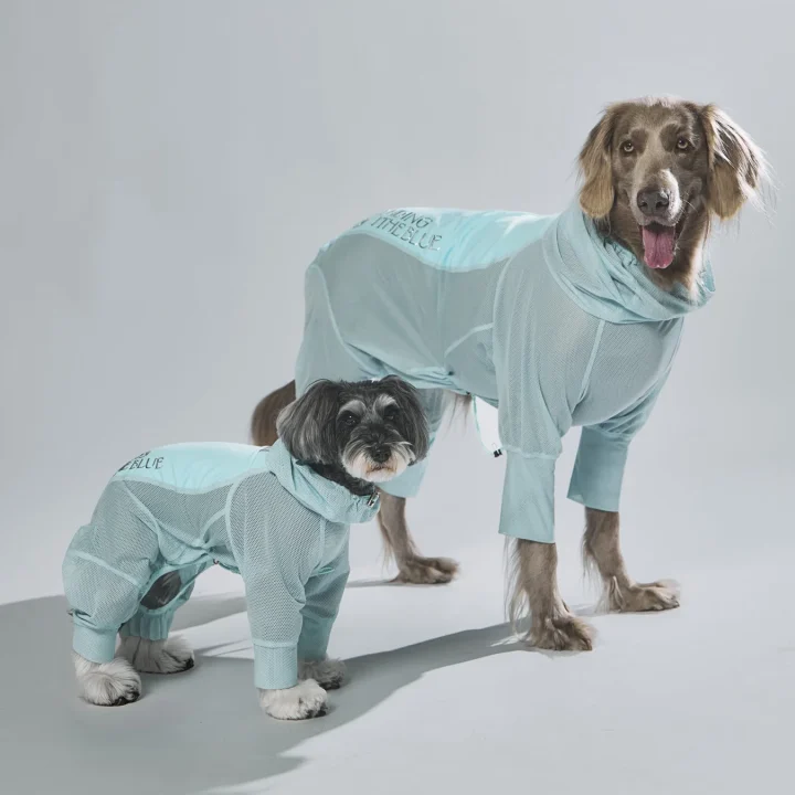 お揃いのミントグリーンメッシュ服を着た大型犬と小型犬