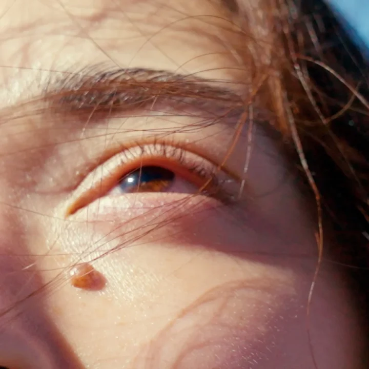 THE MOVE BEGINSビジュアル2