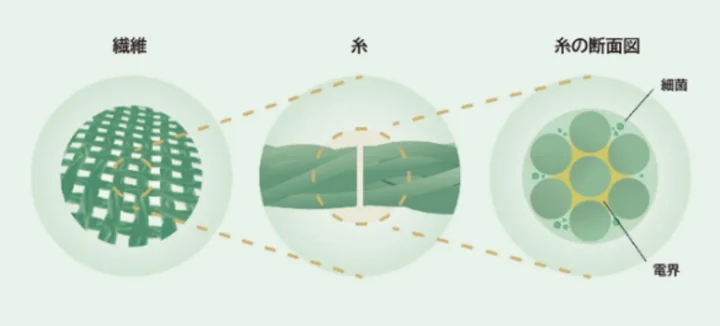 この図は、繊維が糸になり、その糸の断面図に複数の繊維が束ねられ、細菌と電界が存在する様子を段階的に示しています。