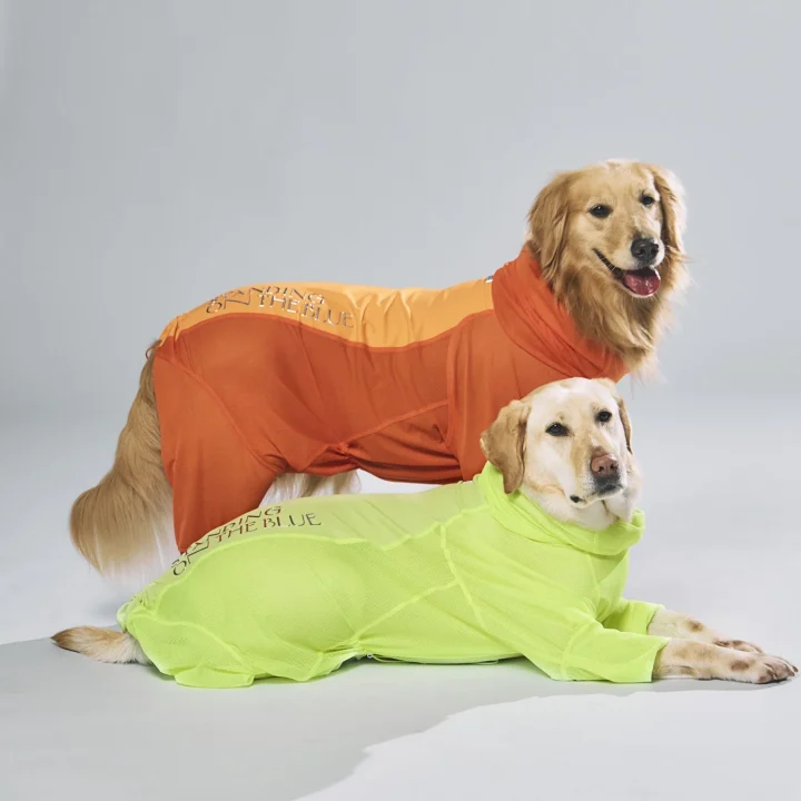 オレンジとライムグリーンのメッシュ素材のドッグウェアを着用した2匹の犬