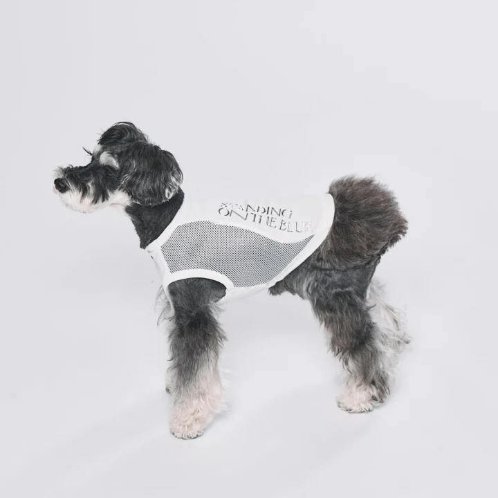 白いメッシュタンクトップを着たミニチュアシュナウザー