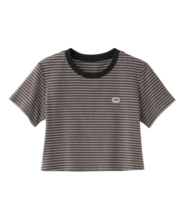 キウイカラーのパックTシャツ