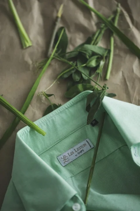ミントグリーンのシャツと植物