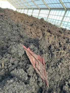 堆肥の山