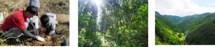 一般社団法人more trees