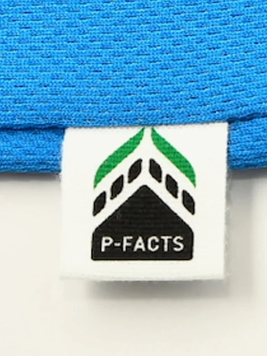 P-FACTSタグ