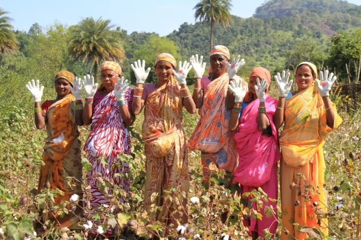 インドの綿花畑で働く女性たち