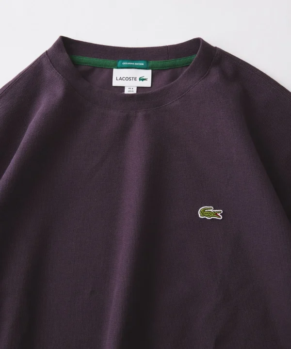 Milano Rib Crew Neck Long Sleeve T-shirt パープル