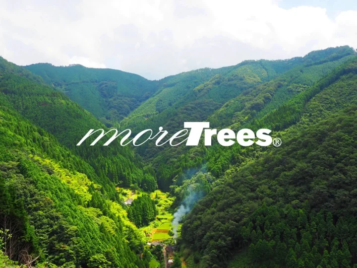more treesロゴと風景