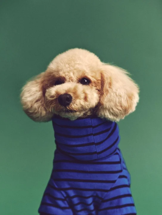 【PET】ピーチ起毛Tシャツ