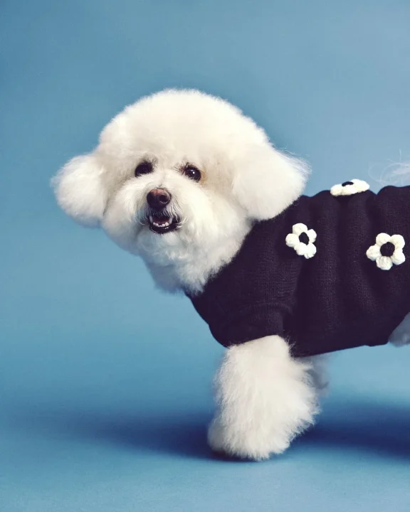 【PET】フラワーモチーフニット