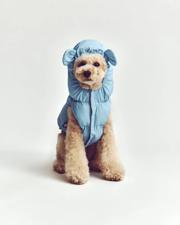 【PET】フード付き中綿ベスト