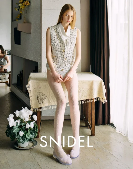 SNIDELのモデル