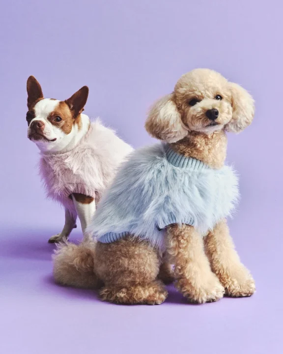 【PET】ニットファーT