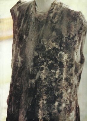 news_1488870412_8901